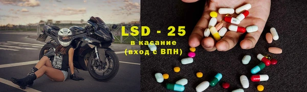 прущие грибы Горно-Алтайск