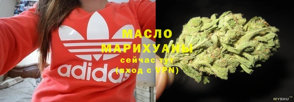 прущие грибы Горно-Алтайск