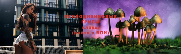 spice Горнозаводск