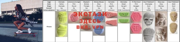 прущие грибы Горно-Алтайск