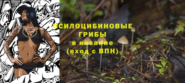 spice Горнозаводск