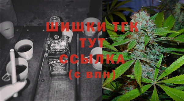 прущие грибы Горно-Алтайск