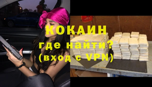 прущие грибы Горно-Алтайск
